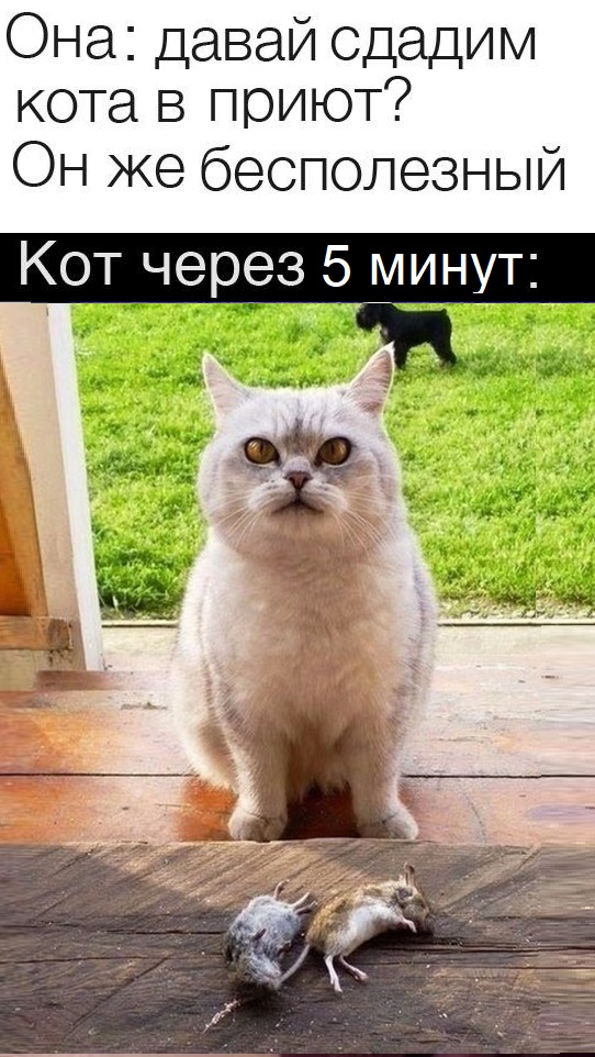 School
