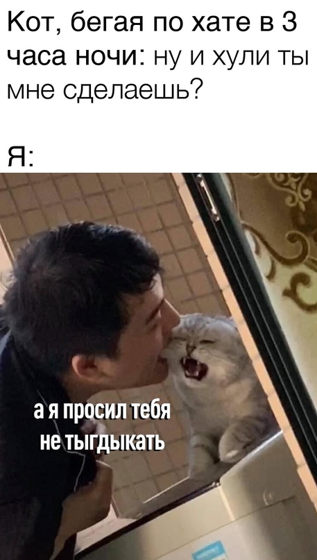 Картинки и мемы для настроения 16.08.2021