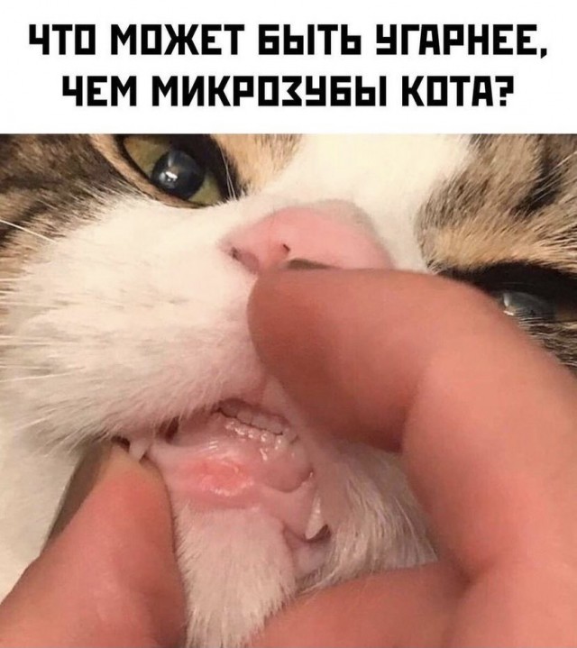 Так себе картинки 24.10.21