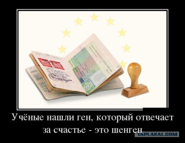 Картинки и мемы для настроения 01.12.2021