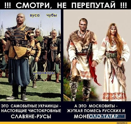 https://s00.yaplakal.com/pics/pics_original/1/2/3/16302321.jpg