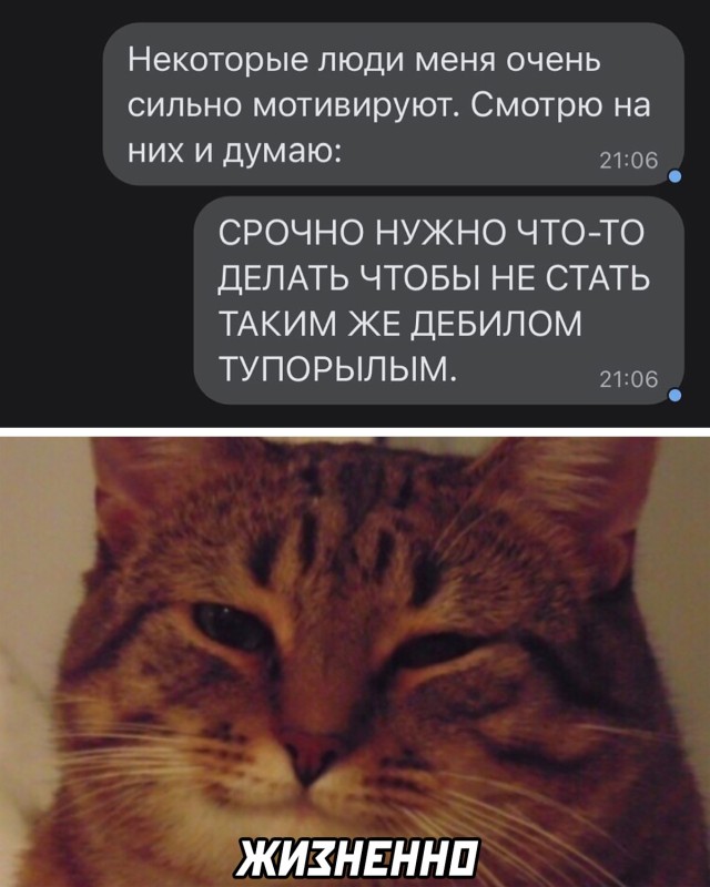 Картинки 04.02.22