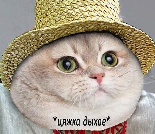 40 картинок разных 15.04.2022