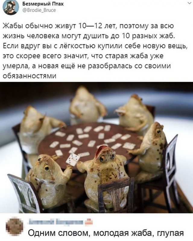 Так себе картинки 09.06.22