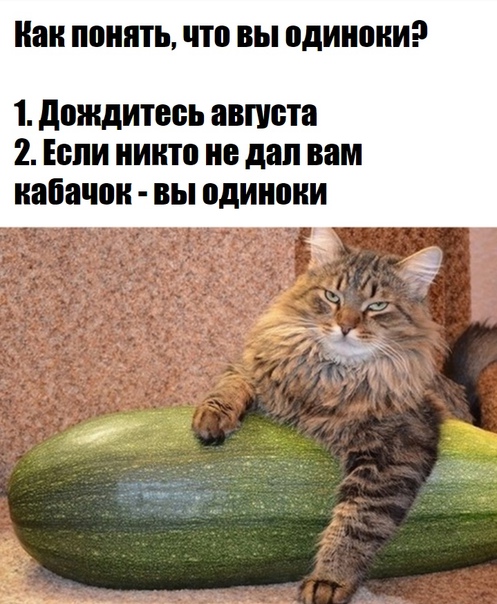 Женщины не догадываются, что они не вечные