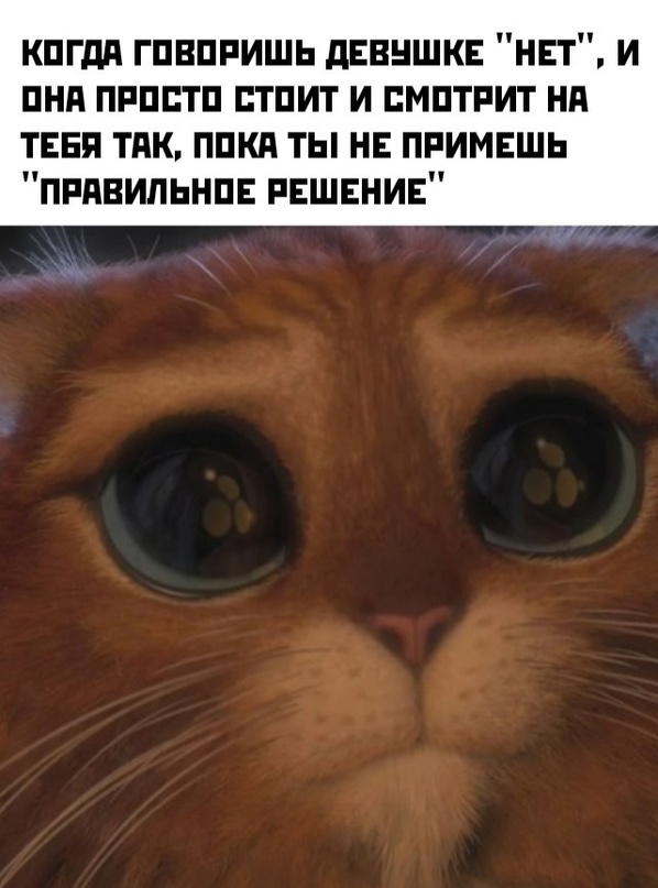 Картинки и мемы, всем хороших выходных