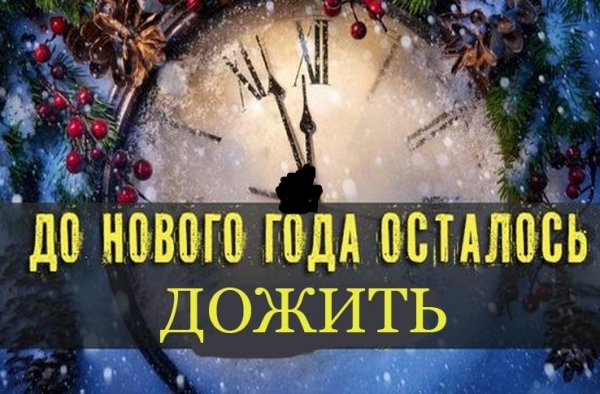Народная меДИЧина 4010