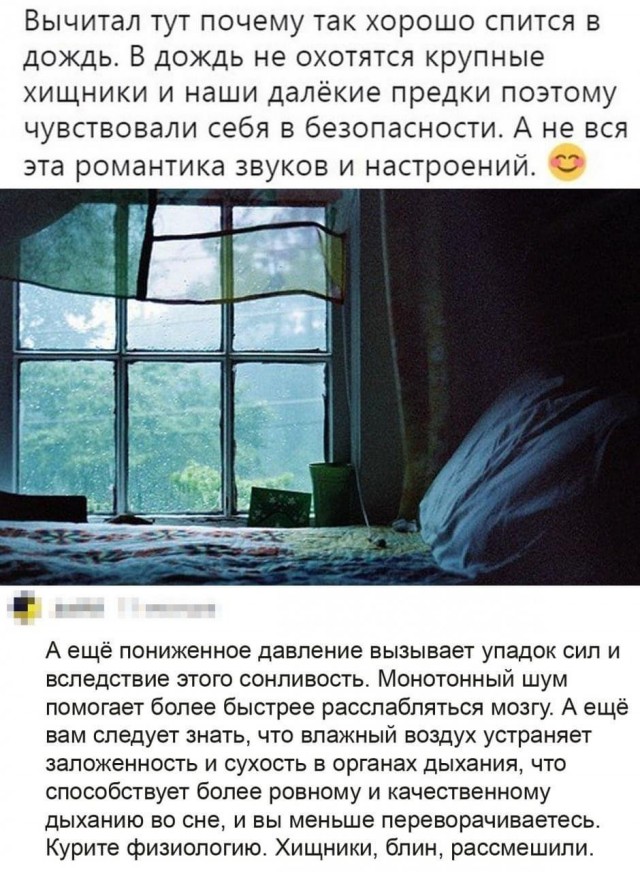 Весёлый полтишок 21.12.2022