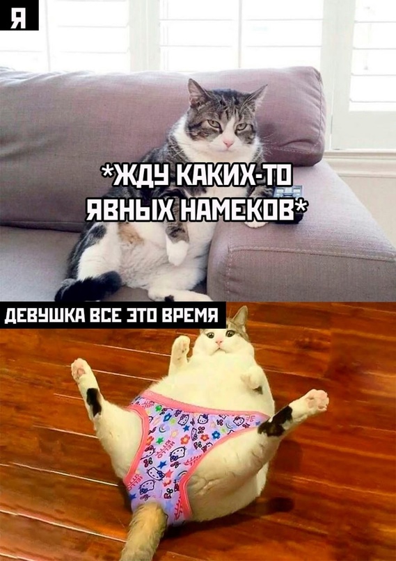 Картинки и мемы для настроения - 131