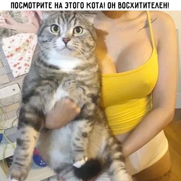 Немного картинок для настроения - 155