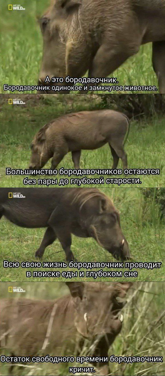 Картинок разной степени @банутости псто N°3