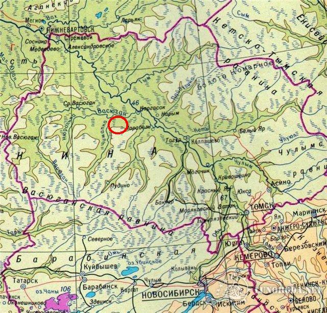 Васюганские болота: какие артефакты, найденные в самой большой топи мира, поразили ученых