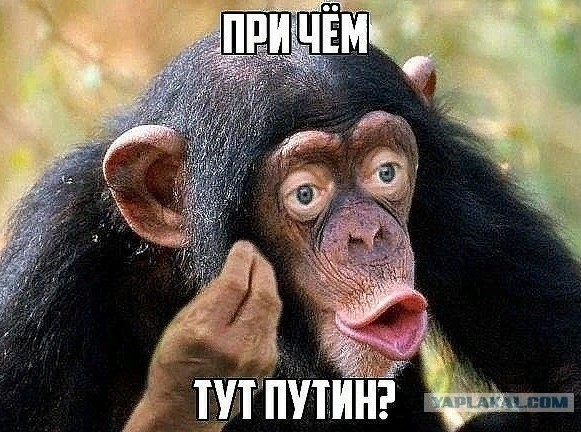 Майкл Джей Фокс появился на вручении премии BAFTA в инвалидной коляске
