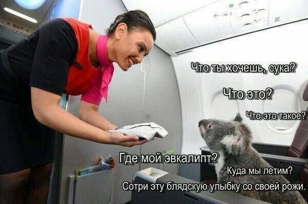 Никакие картинки