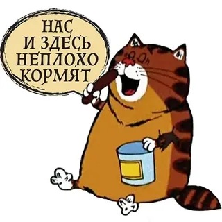 Морская переправа Шэньчжэнь – Чжуншань открылась для движения