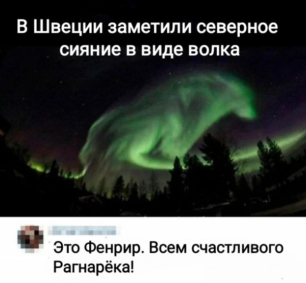 Немного забавных картинок от 13.10.2024