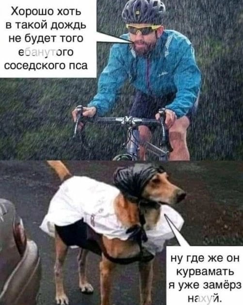 Так себе картинки 11.01.25
