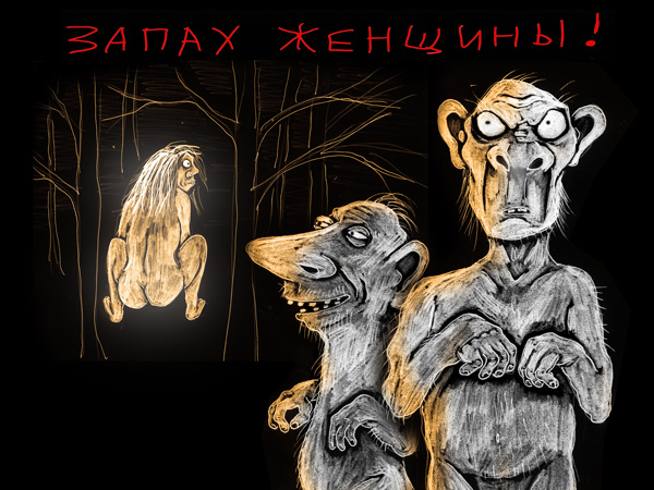 Обстановка в женском туалете