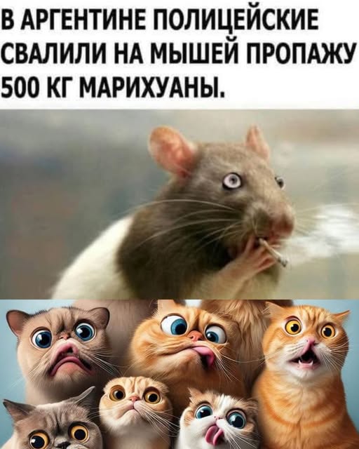 Картинки разные с надписями и без