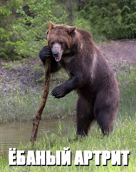 Ну что, господа. Послепраздничная дичь