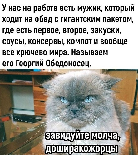 К котовторнику: подборка картинок-баянов с котиками и про котиков. Выпуск 18.