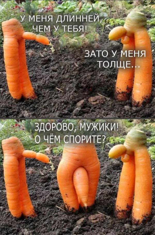 Страсти огородные