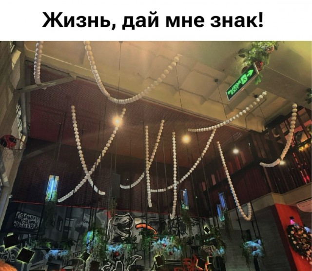 Картинки для деградации постновогодние (как салаты - разной степени свежести)