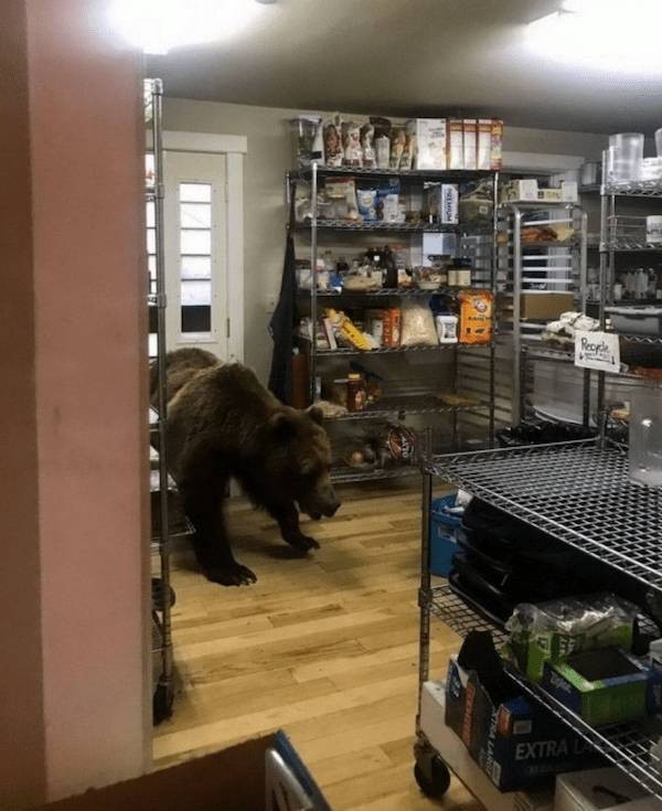 Подборка фотографий из серии " За секунду до.."