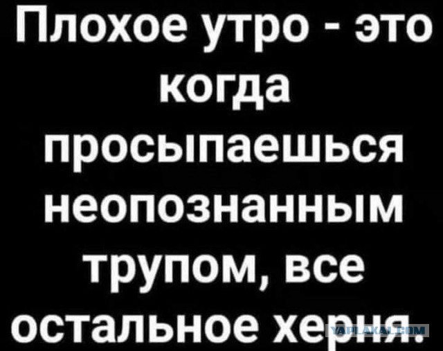 Так себе картинки 17.01.26