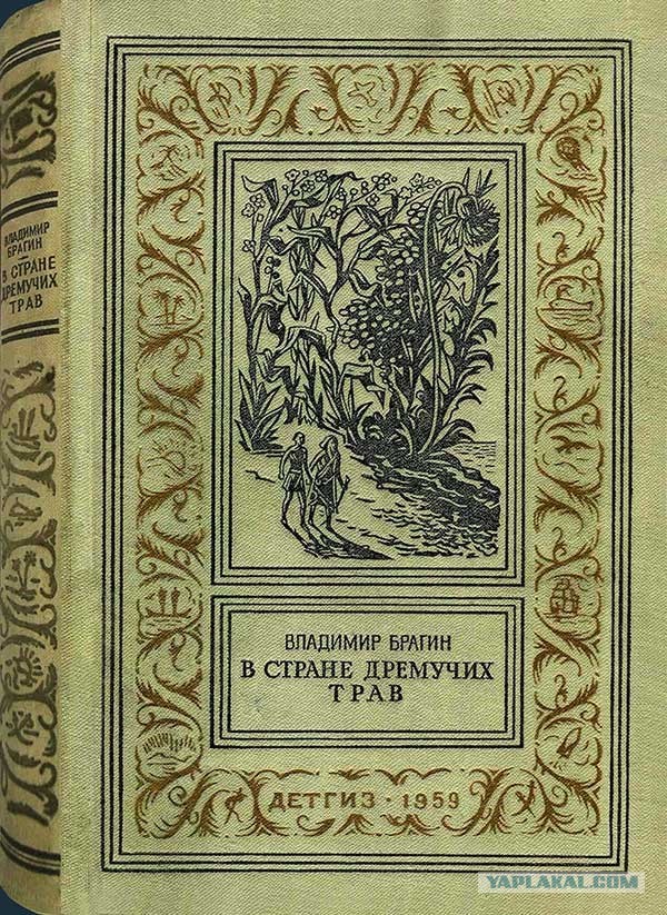 Детские библиотеки в России начали прятать книги из-за "волшебной пыльцы", грибов и маковых полей