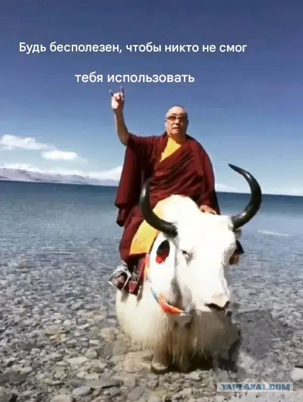 Эбокартинки с эбонадписями