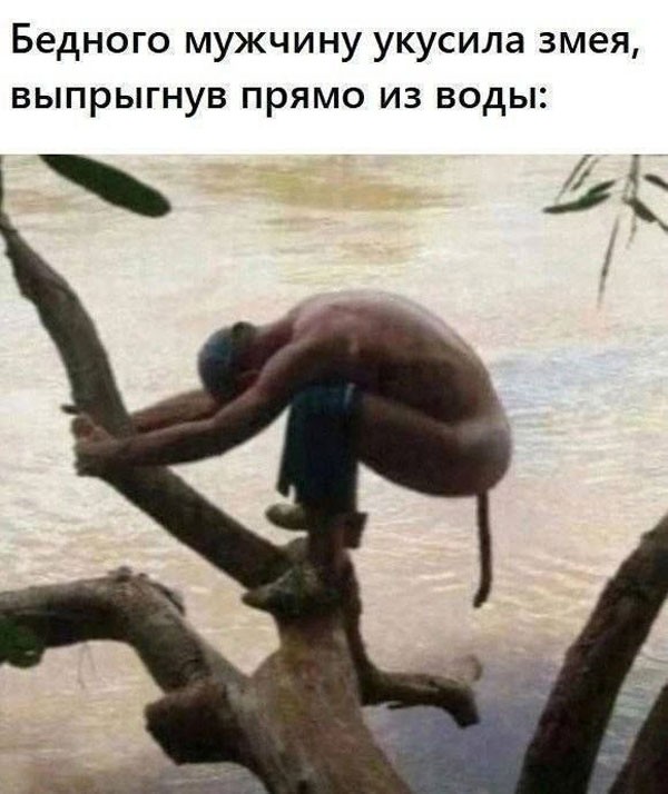 Картинки для деградации 257 (разной степени свежести)