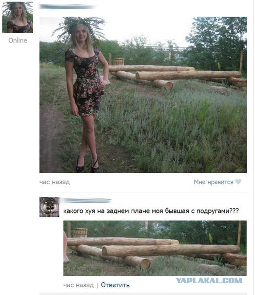 Тонкий намек Яне