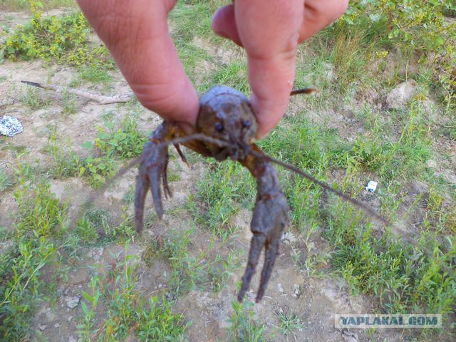 Рыбалка в Астрахани