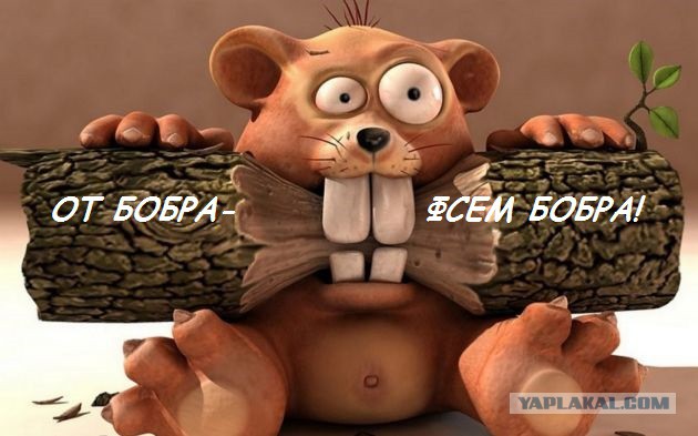 Славянский гороскоп