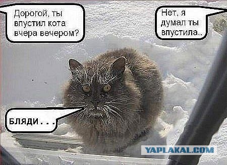 Зима на носу