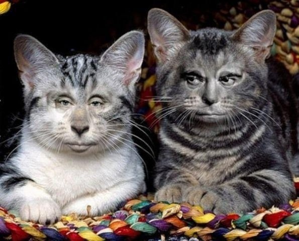 Украина: что мы теряем