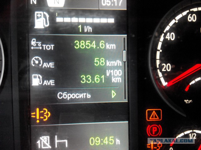 Озеленение Владивостока.