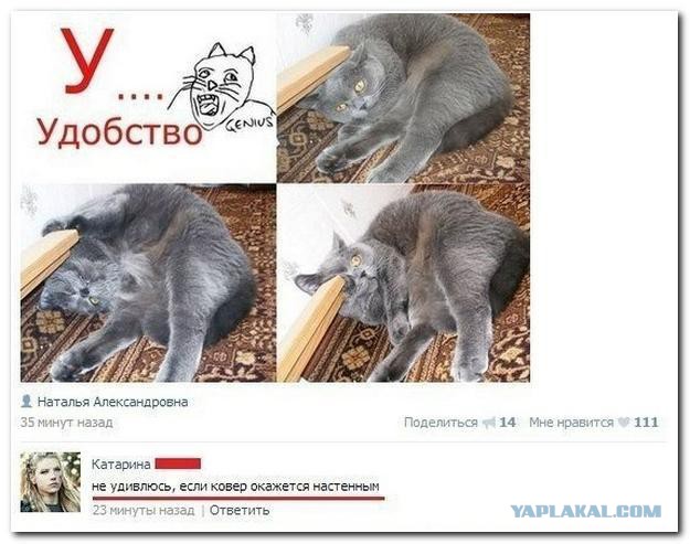 Позитивные картинки и комментарии.