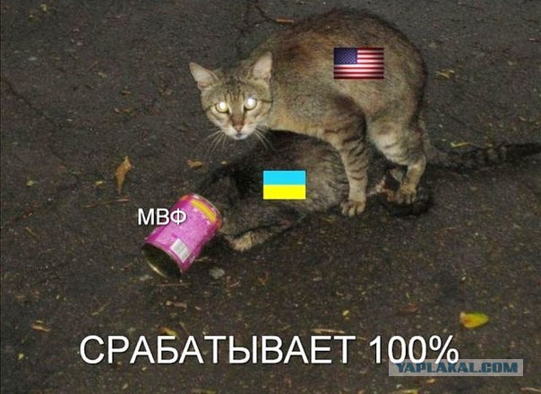 Ассоциация Украины с ЕС отложены до 2015 года