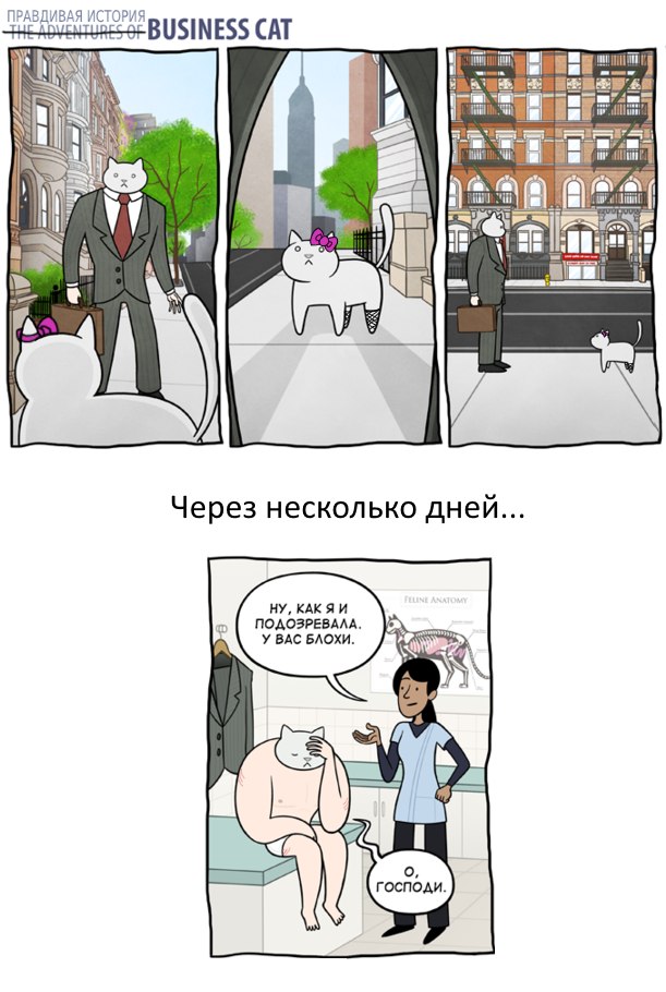 Кот - БОСС