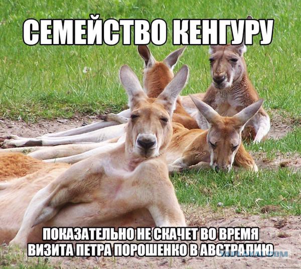 Весёлое из сети