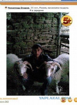Весёлое из сети