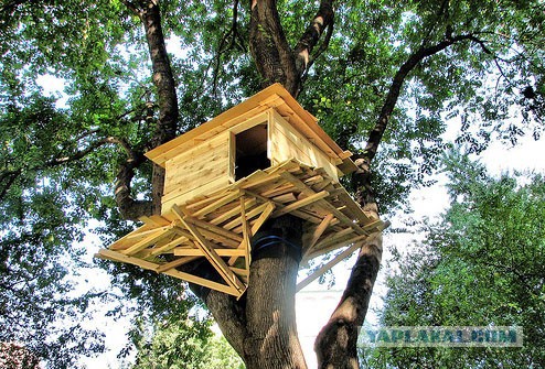 Детство без гаджетов...