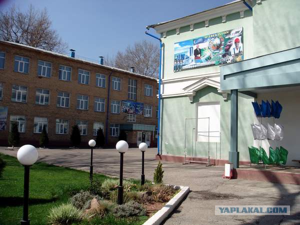 ЧИРЧИК
