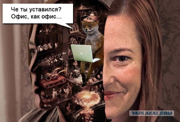 Вот он, муж Псаки - Грегори Метчер.