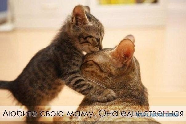 Прикольные картинки из сети