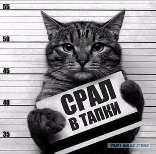Картинки разные