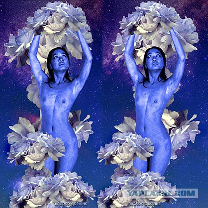 3D картинки