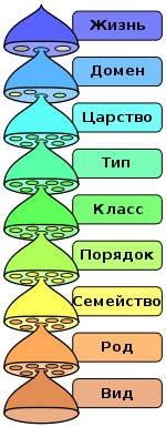 Древние изображения камнережущих машин